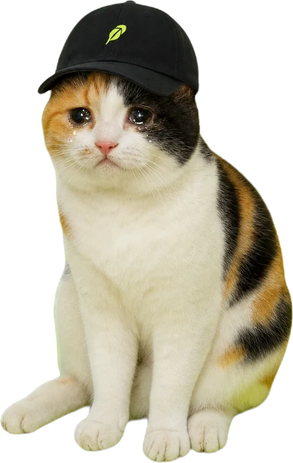 Calico cat wif cap, crying